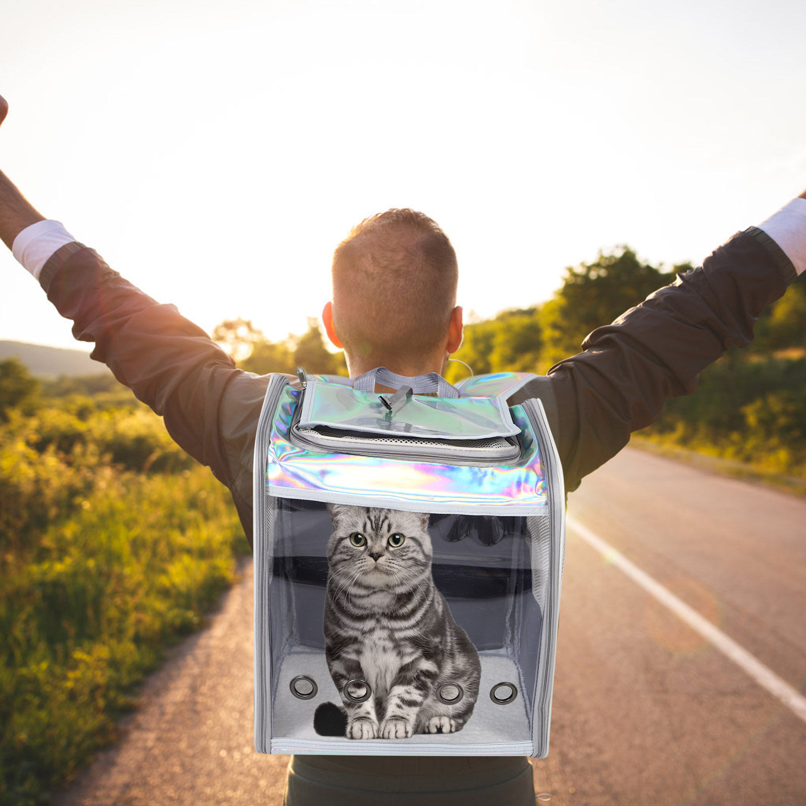Spacious Foldable Pet Backpack - Foldable Backpack Small のレビューと価格